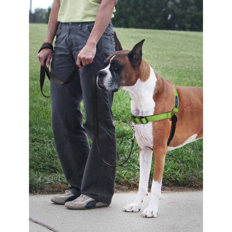 PetSafe Deluxe Easy Walk Steel Dog Harness Black/Apple LG