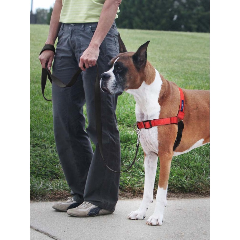 PetSafe Deluxe Easy Walk Steel Dog Harness Black/Rose LG