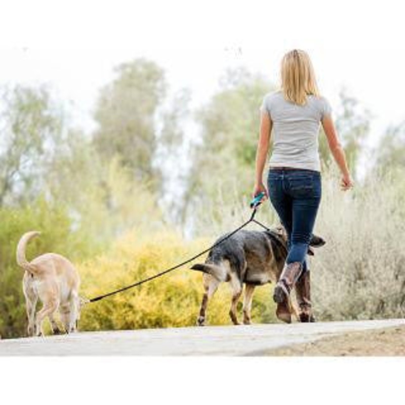 Wigzi Dual Doggie Reflective Rope Gel Handle Leash Medium/Large Black with Blue {L-x} 748043