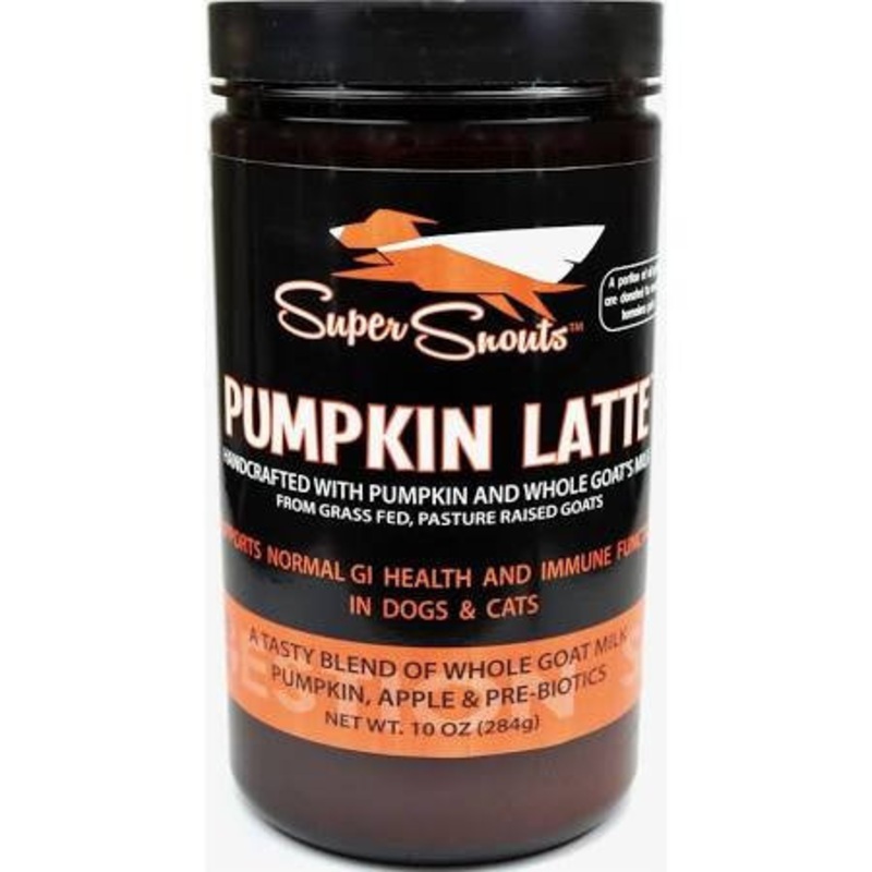 Diggin Your Dog Super Pumpkin Latte 10oz {L+x}