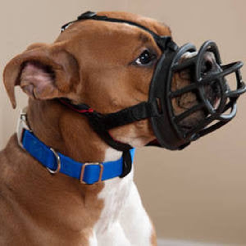 The Company Of Animals Baskerville Ultra Muzzle For Dogs-dogs 10-15 Lbs (size 1)-{L+x}
