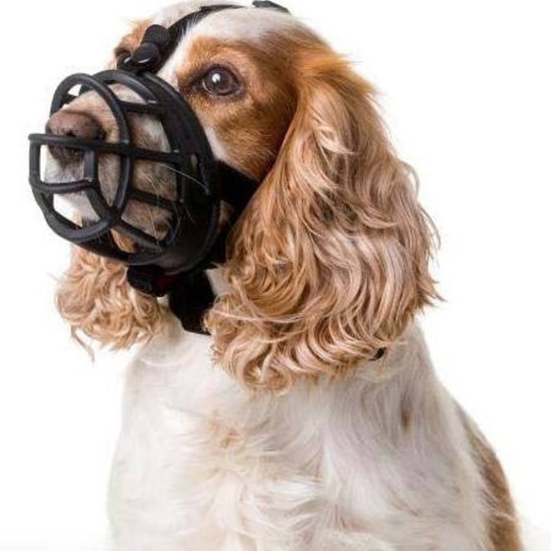 The Company Of Animals Baskerville Ultra Muzzle For Dogs-dogs 15-25 Lbs (size 2)-{L+x}