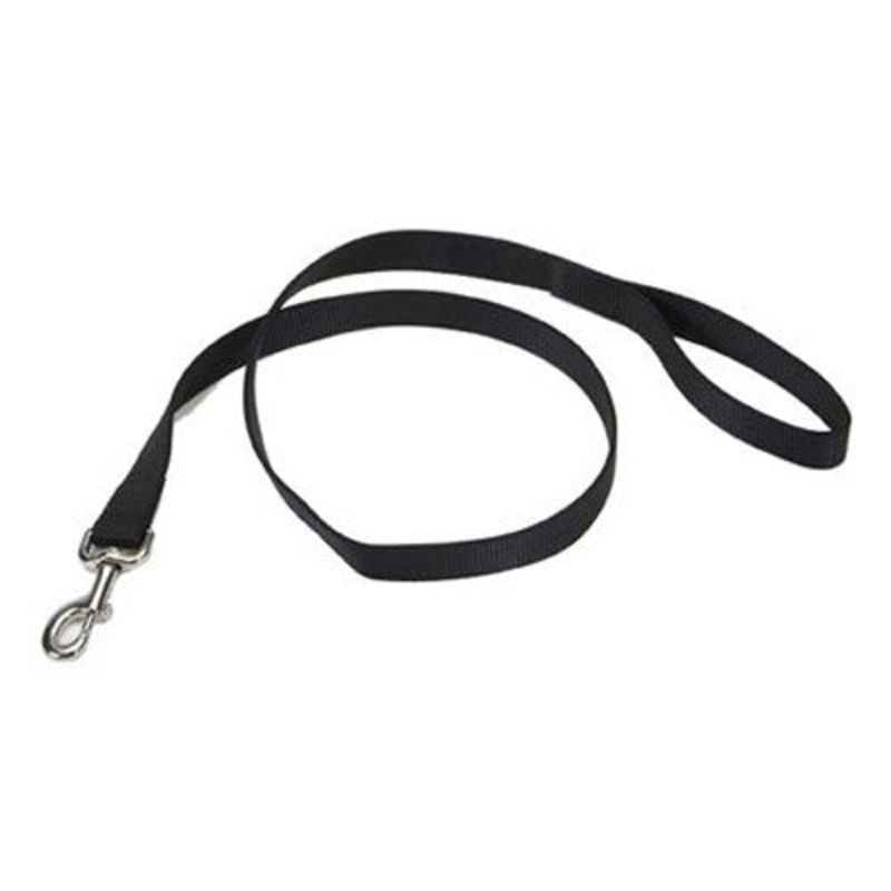 Coa Lead 906 Train Bk 1in 6ft {L-2}