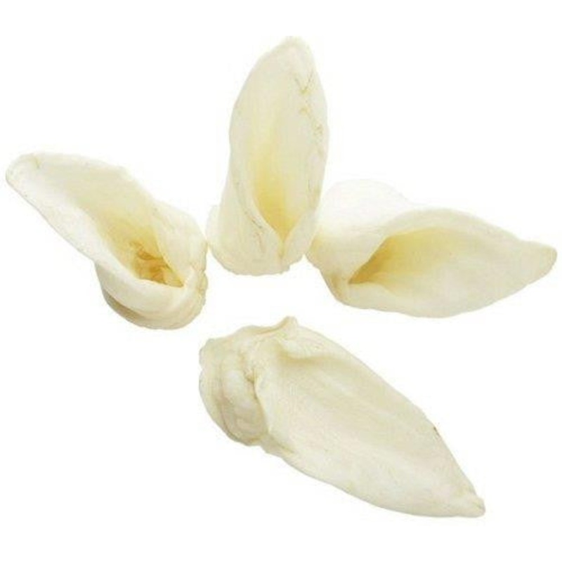 Red Barn Lamb Ears 50/Case {L+1x} 416154