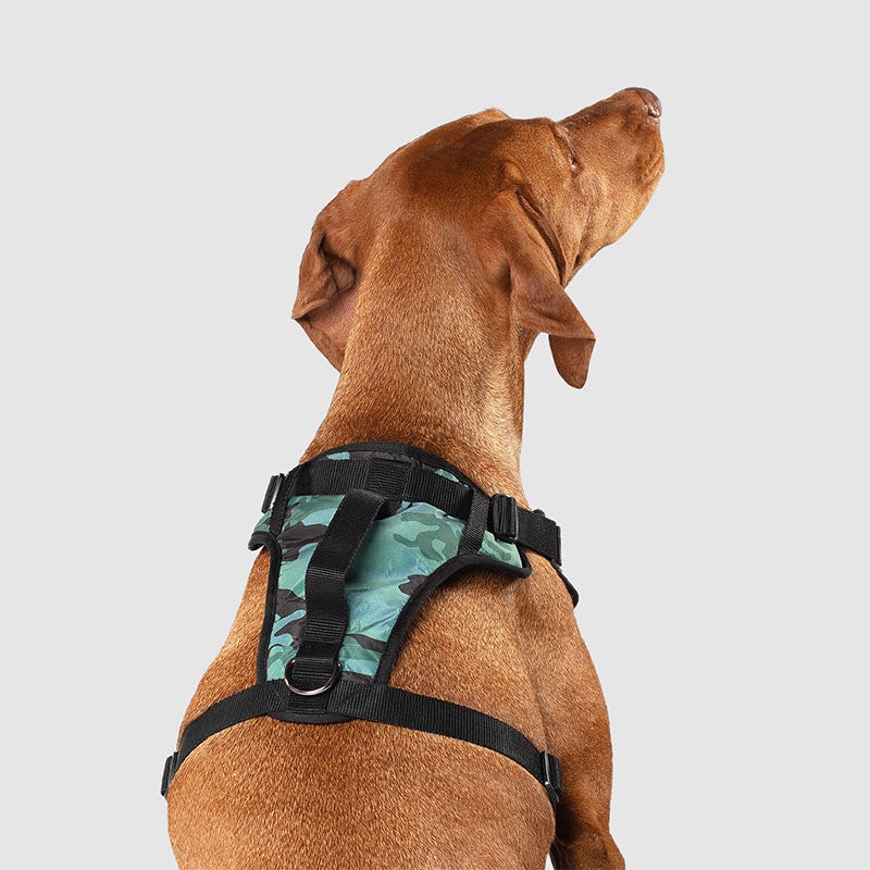Cp D Evthng Hrn Camo Lg