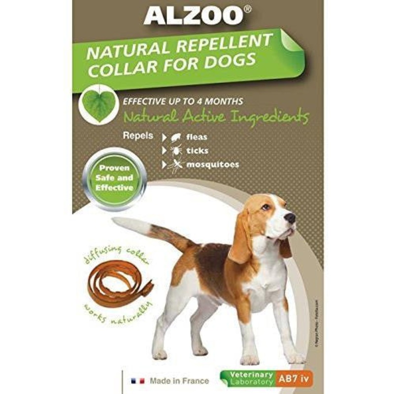 Alzoo Dog Collar Medium {L-1}420018