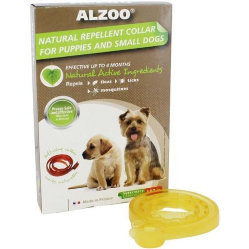 Alzoo Dog Collar Small/Puppy {L-1}420017