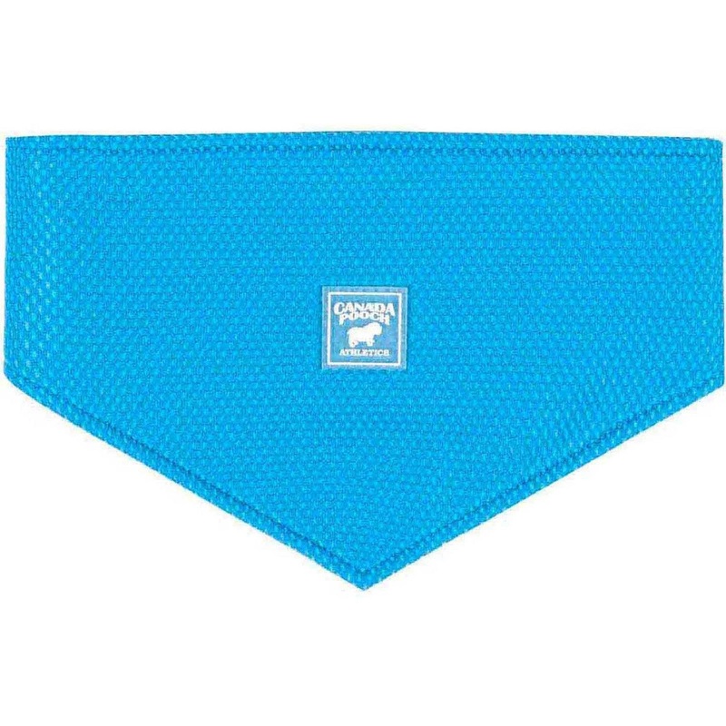 Canada Pooch Chl Seeker bandana Blu Sm