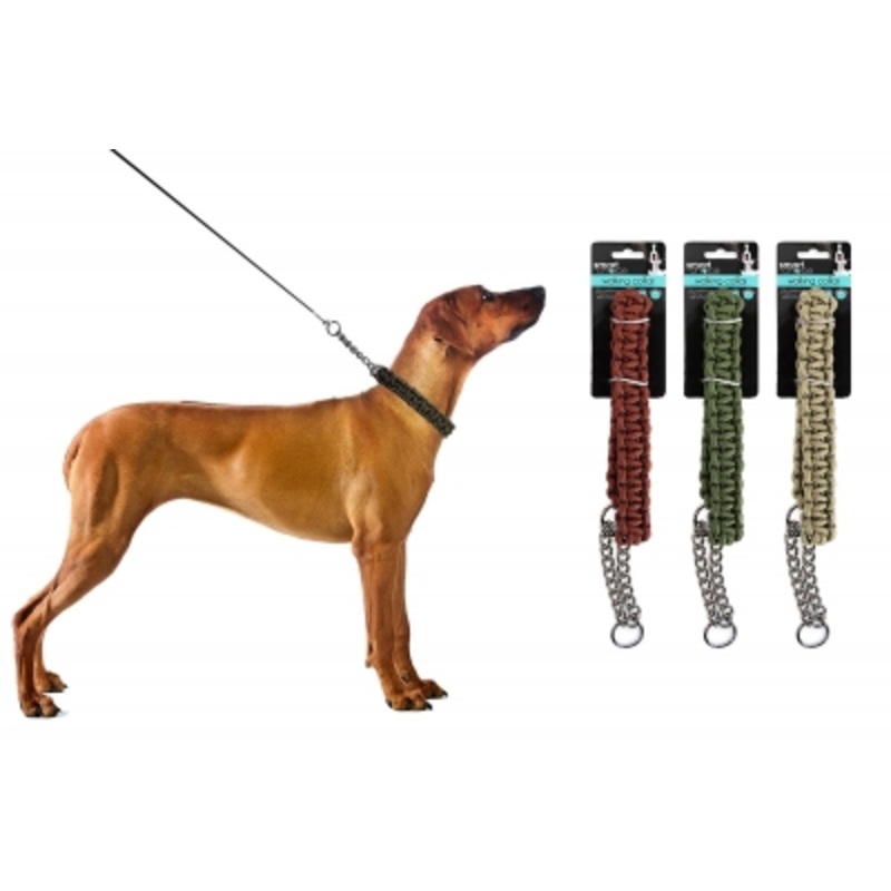 Smart Choice Braided Dog Collar