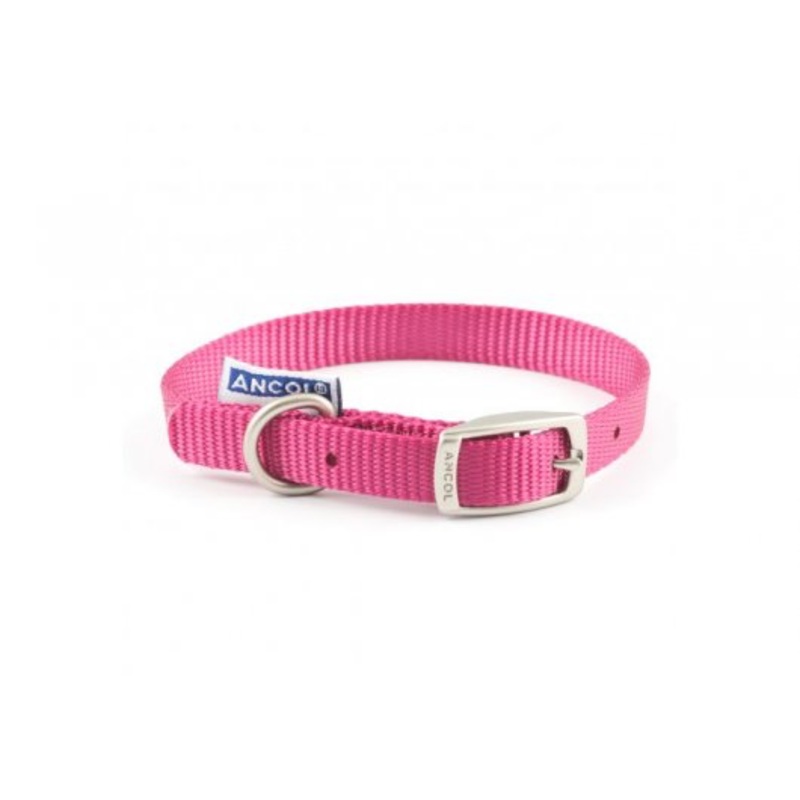 Heritage Nylon Collar Raspberry 12mm X20-26cm Sz1