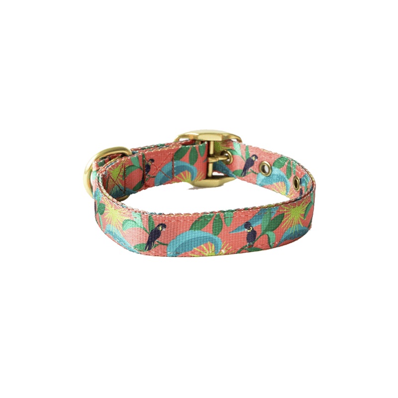 ANIPAL Clancy the Black Cockatoo Collar (Made from recycled plastic) L