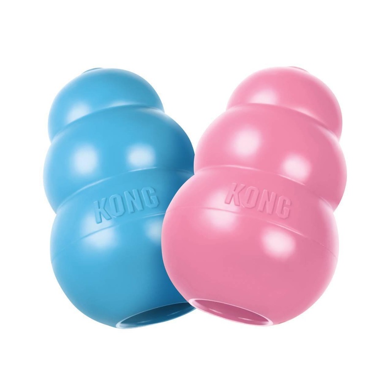 KONG Puppy Small (1pc Pink/Blue Random Colour)