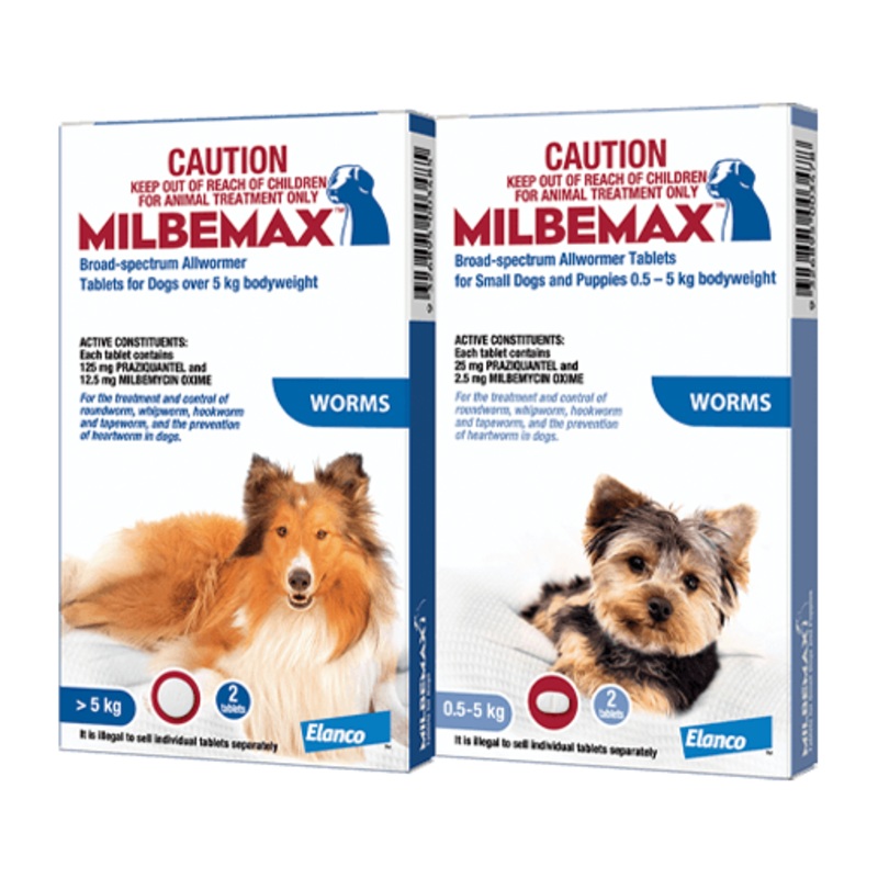 MILBEMAX Allwormer for Dogs