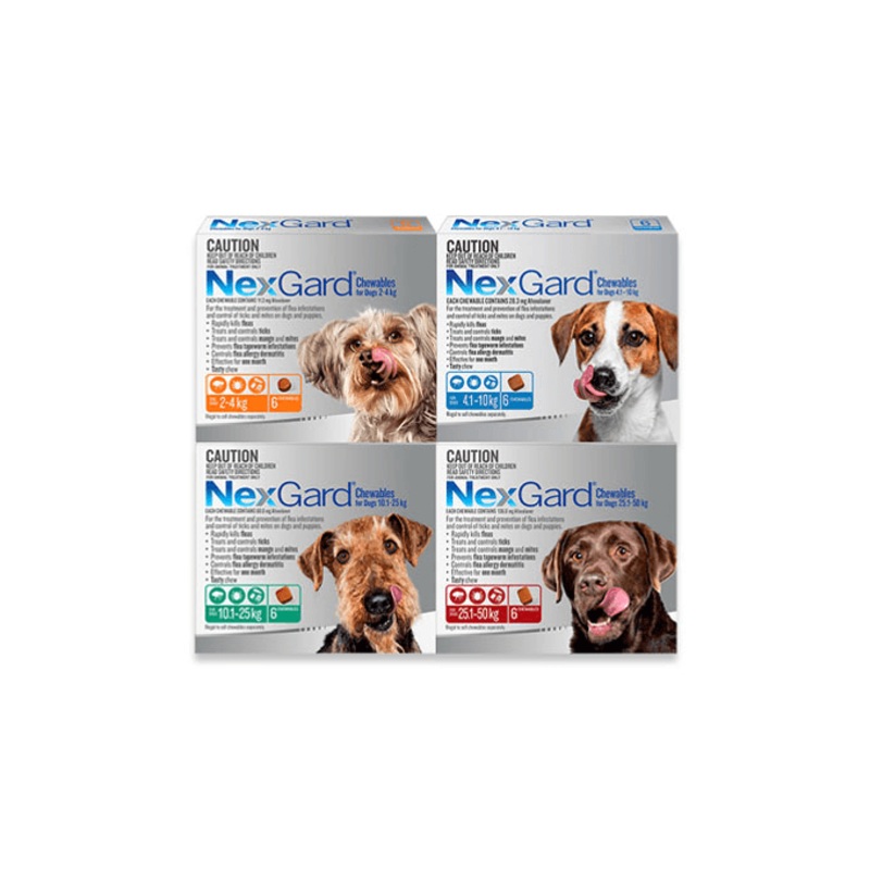 NEXGARD Flea Ticks Treatment Chewables for Dogs