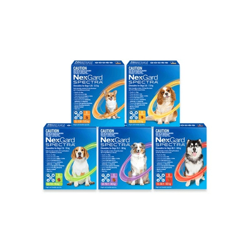NEXGARD Spectra Chewabes for Dogs