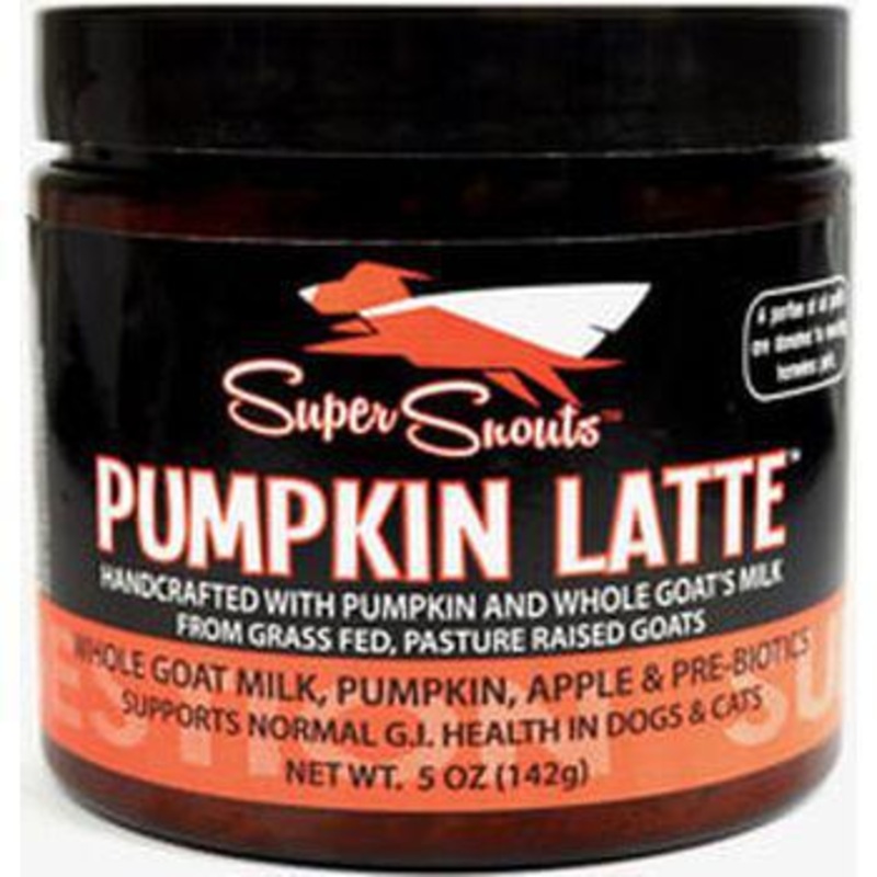 Diggin' Your Dog Super Snouts Pumpkin Latte