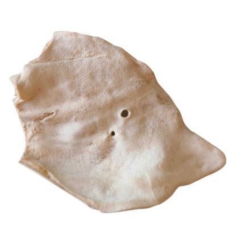 Bones & Co Dog Treat FD Pig Ears