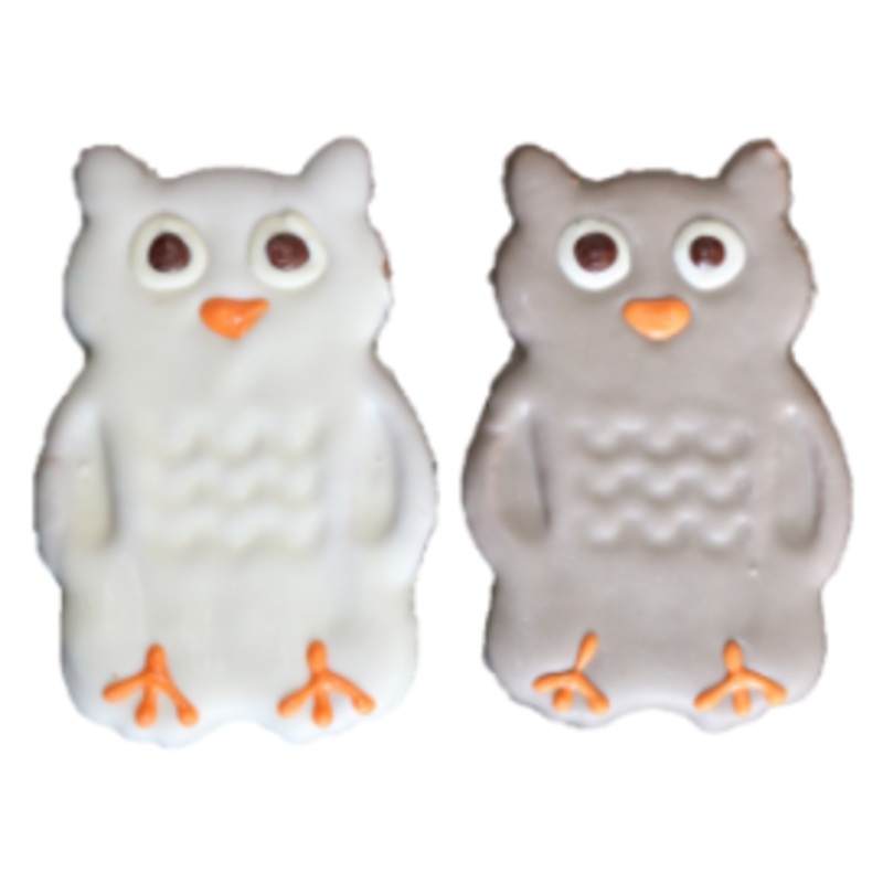 Preppy Puppy Owls