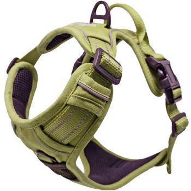 Aspen Venture Paw Doggie Design