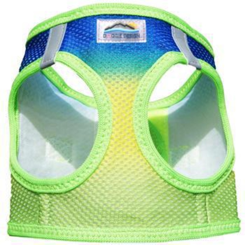 Cobalt Sport Ombre American River Doggie Design