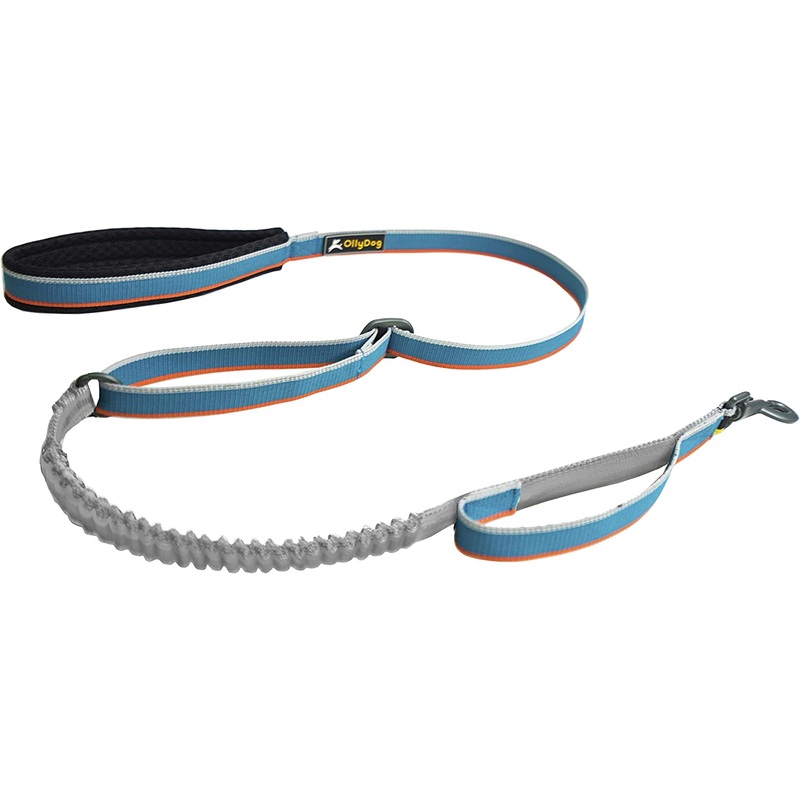 Olly Dog Urban Journey Adjustable Spring Leash