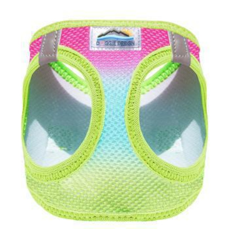Rainbow Ombre American River Doggie Design