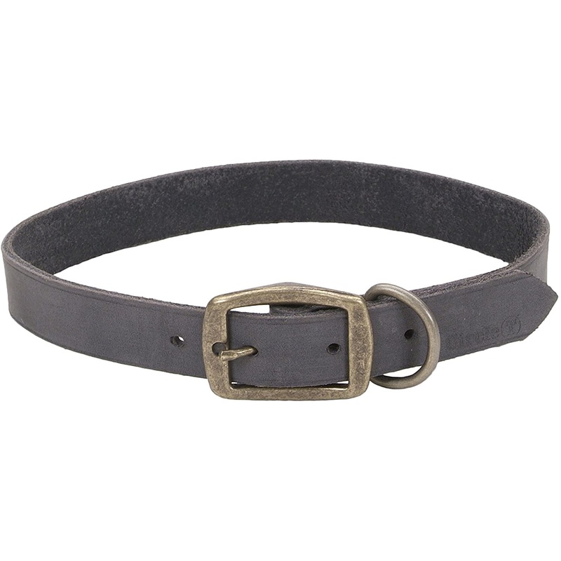 Coastal Circle T Rustic Leather Dog Collar