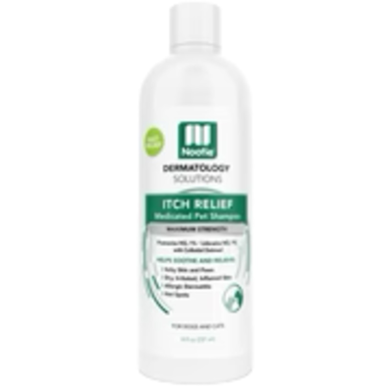 Nooties Dermatology Itch Relief Medicated Pet Shampoo 8 oz.