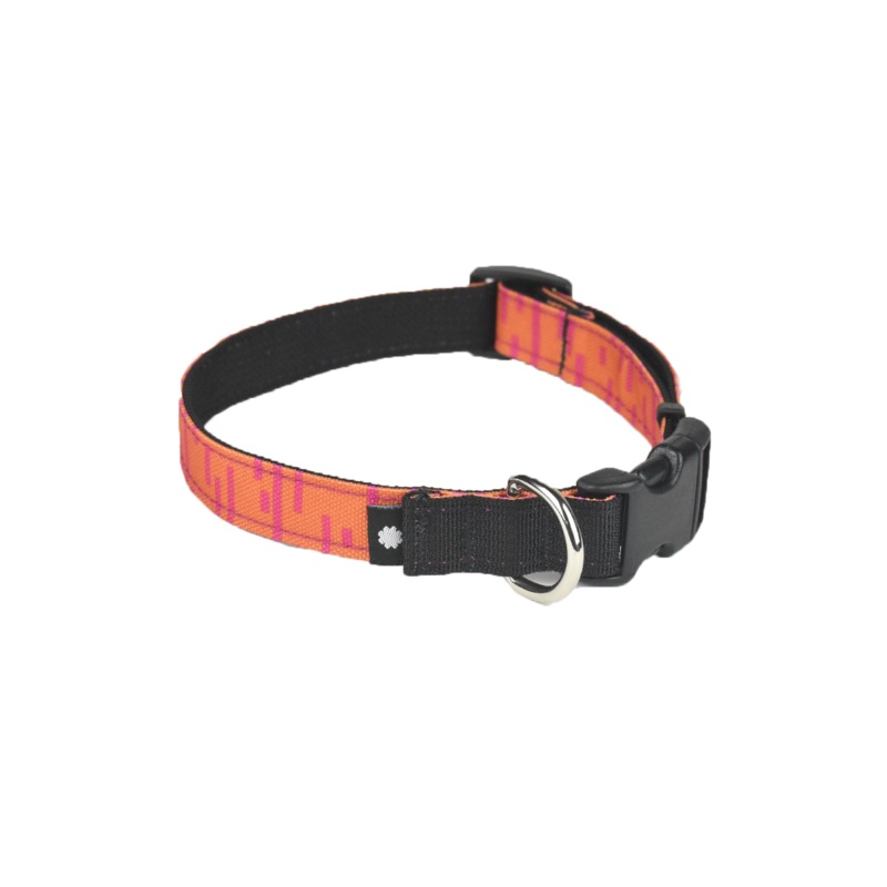 Wildebeest Pacifica Standard Collar
