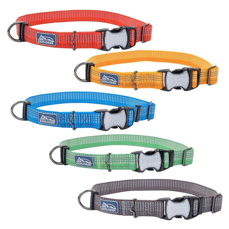 Coastal K9 Explorer Brights Reflective Dog Collar
