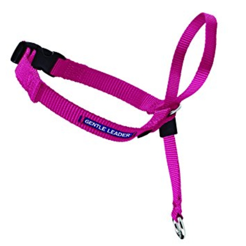 Gentle Leader Headcollar