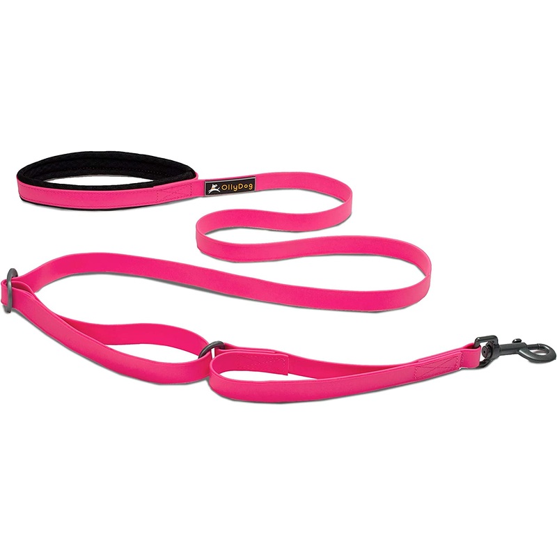 OllyDog Tilden Adjustable Waterproof Leash
