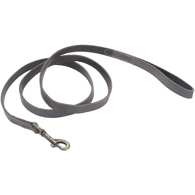 Coastal Circle T Rustic Leather Dog Leash