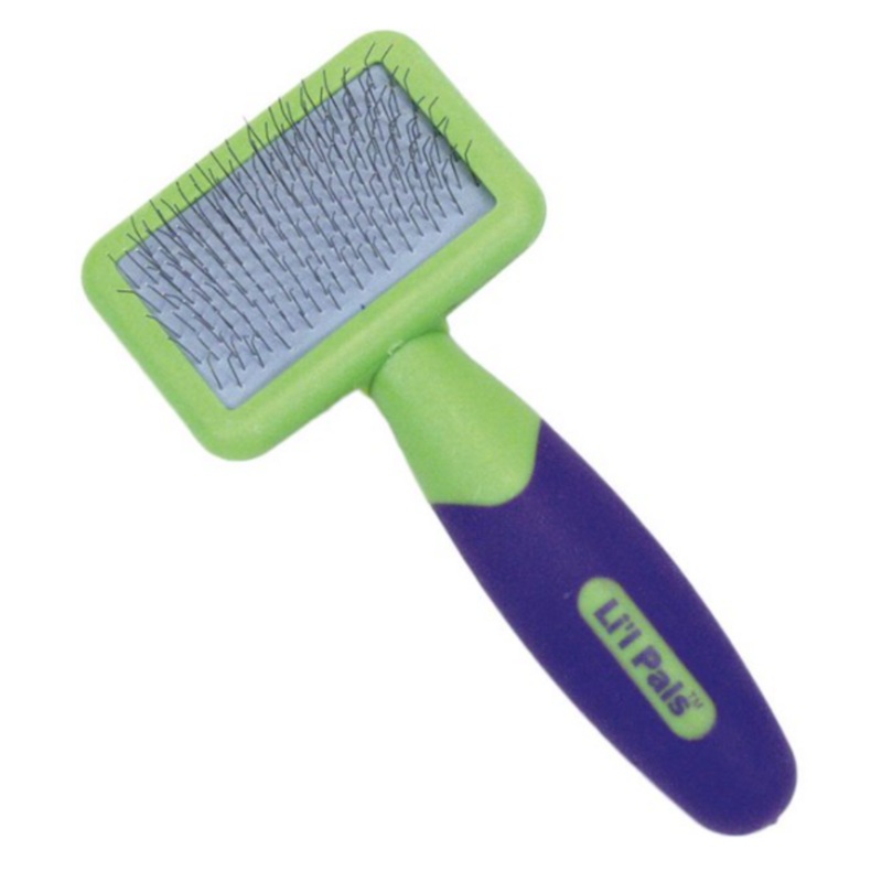 Coastal Lil Pals Slicker Brush