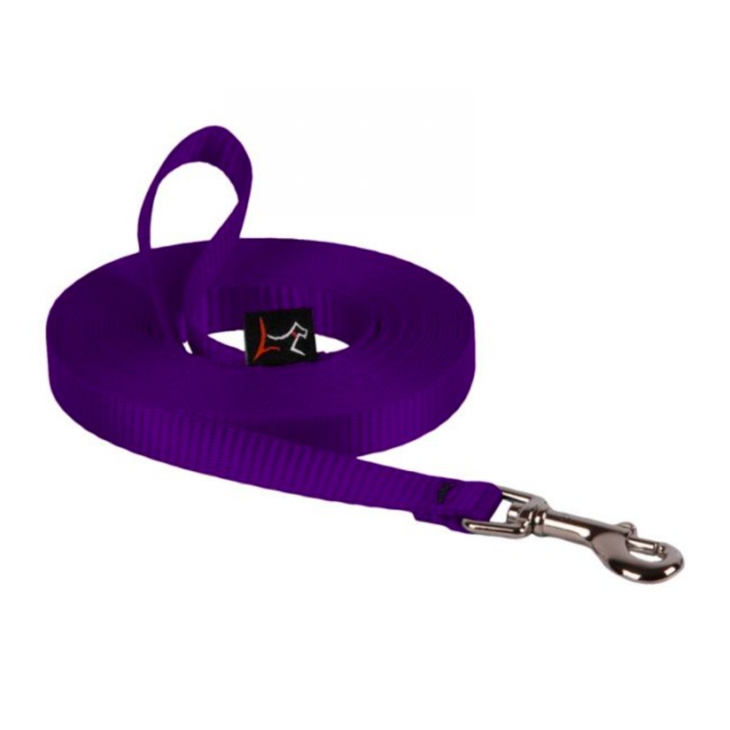 Lupine Training Lead