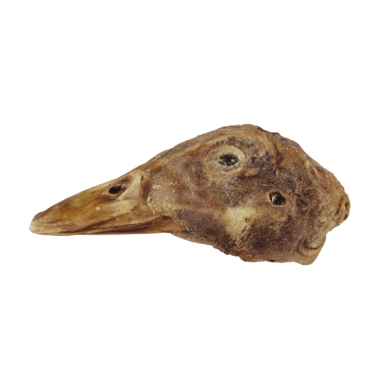 Bones & Co Freeze Dried Duck Head