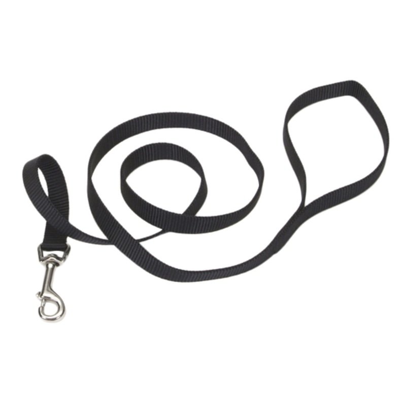 Coastal Single-Ply Nylon Leash