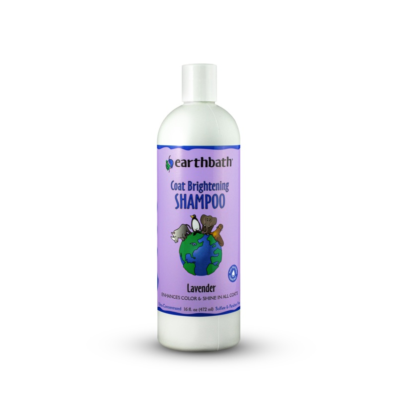 Earthbath Coat Brightening Shampoo 16 oz.