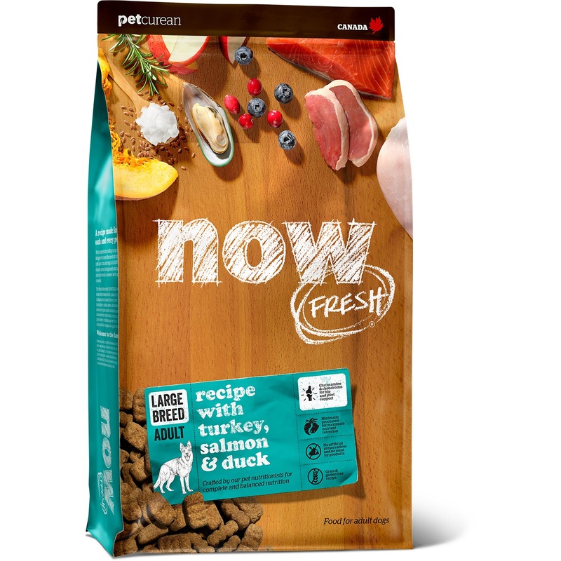 Now Fresh Grain-Free Large Breed Adult Recipe