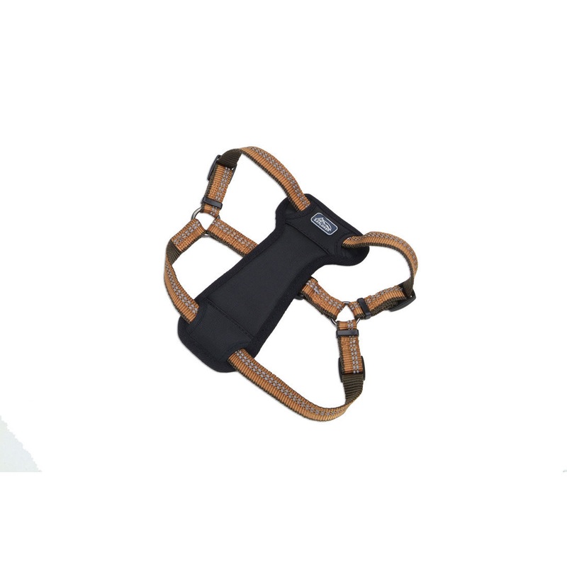 Coastal K9 Explorer Padded Harness