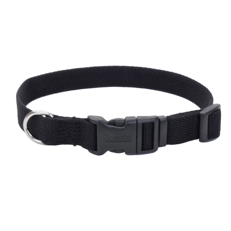 Coastal Soy Dog Collar