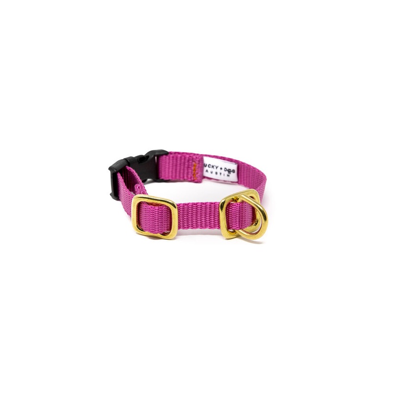 Lucky + Dog Austin Puppy Collar