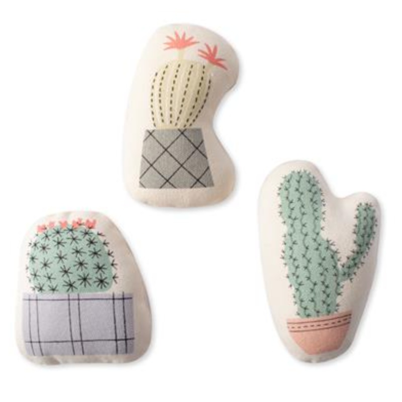 Fringe Potted Cactus Canvas Mini 3 Pack