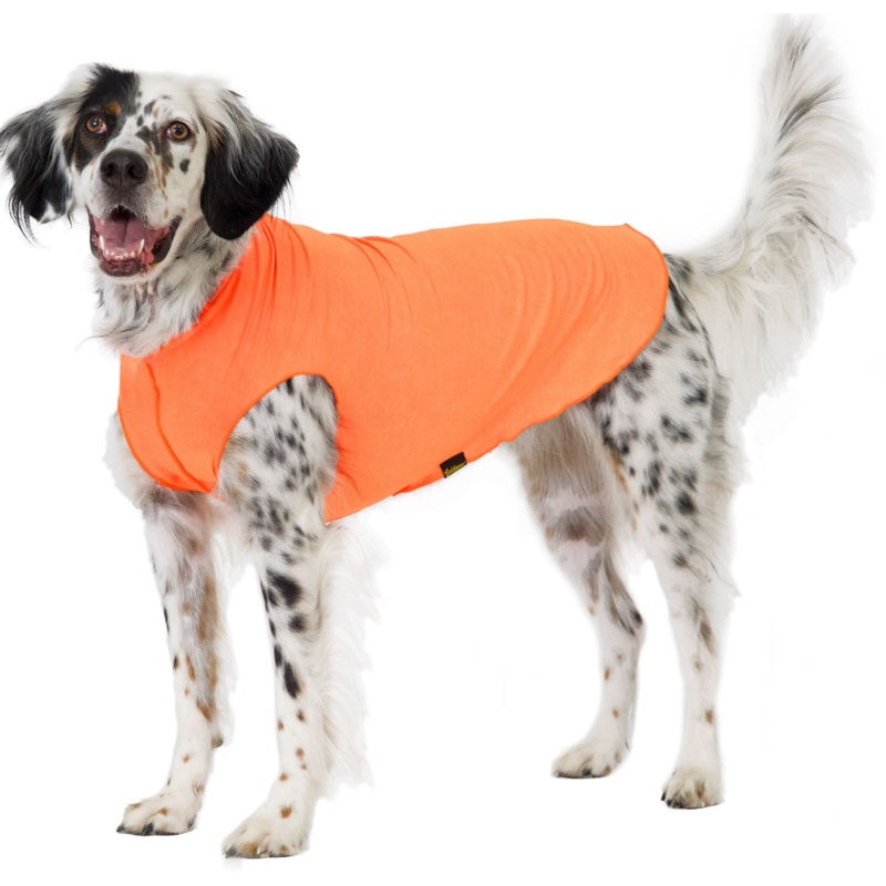 Goldpaw Sun Shield Tee