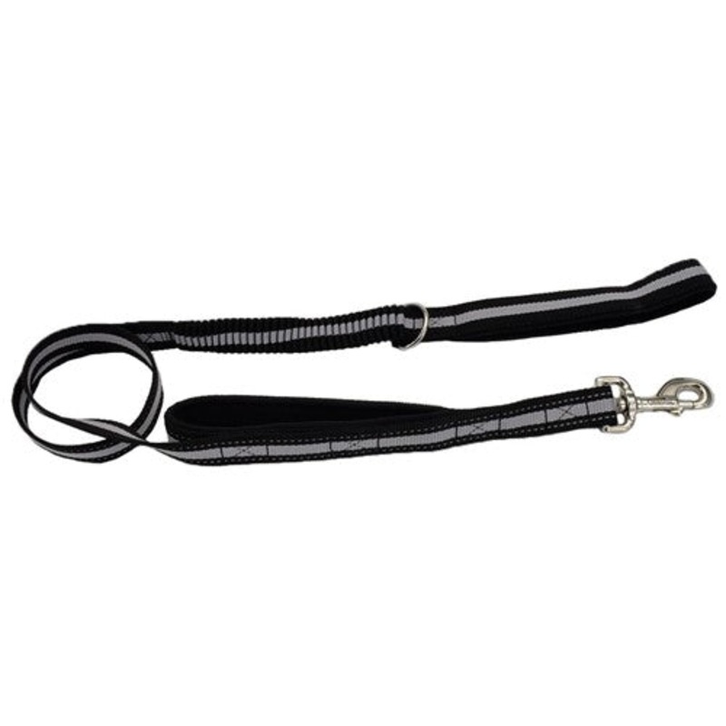 Coastal Double Handle Bungee Leash 4'