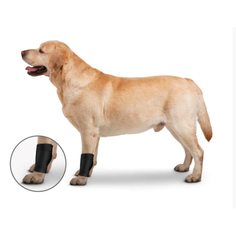 ZenPet OrthoWraps Injury Prevention & Recovery Brace