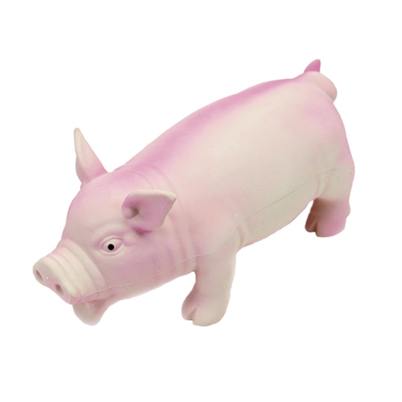 Coastal Grunting Pig