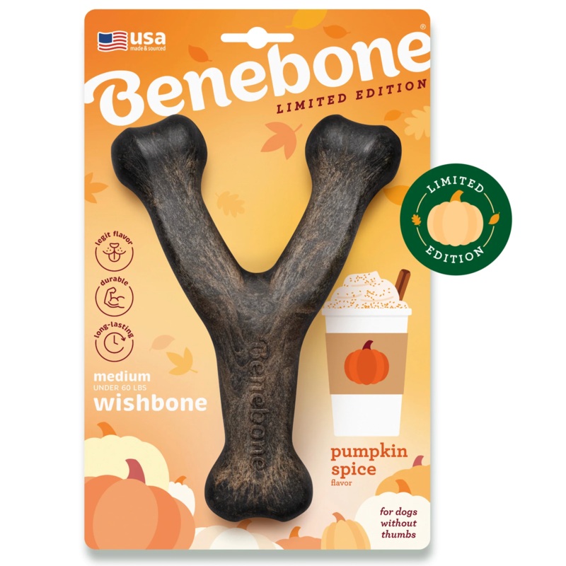Benebone Limited Edition Wishbone Pumpkin Spice Medium
