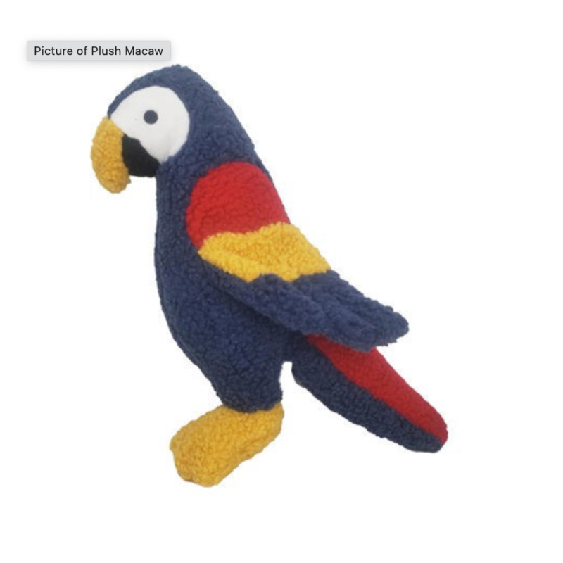 Dog Star Wildlife Mickie the Macaw