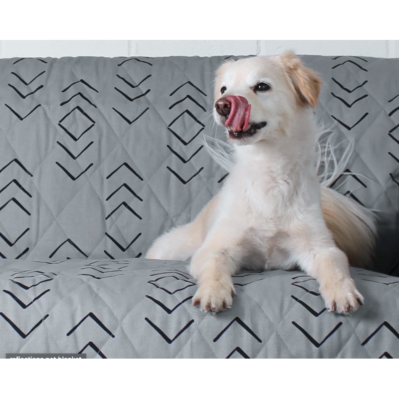 Molly Mutt Blankets
